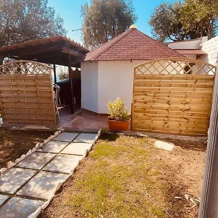 Punta Cilento * 피시오타