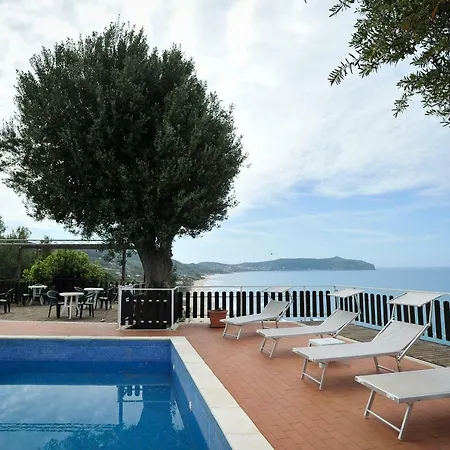 Punta Cilento 피시오타